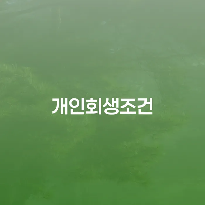 개인회생 채무조정제도을 이용하여 상담받아보기