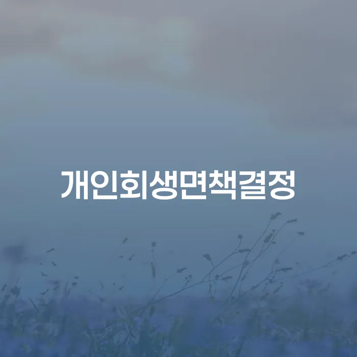 빚갚는방법 개인회생 문제해결방법 결정이나고
