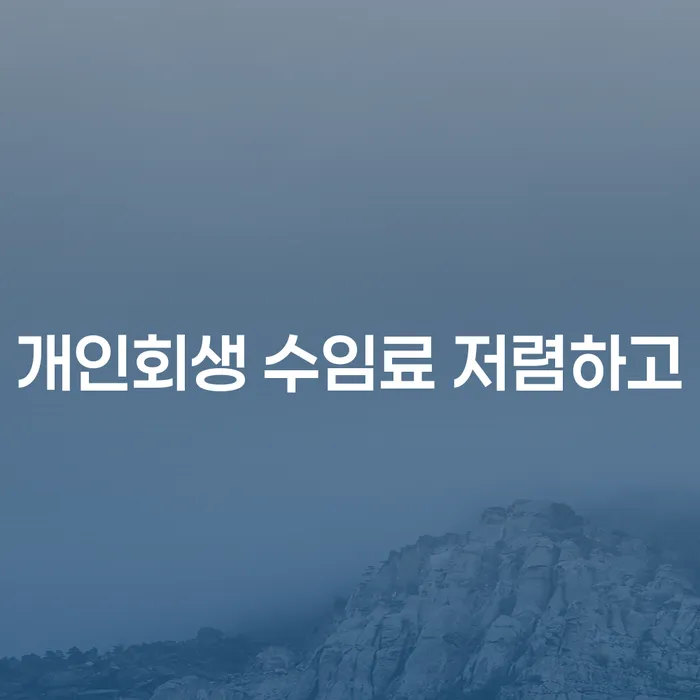 개인파산면책 신용회복 급증하는