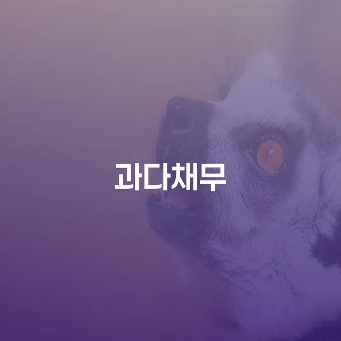 신용카드 연체 개인회생 선택해야 하는