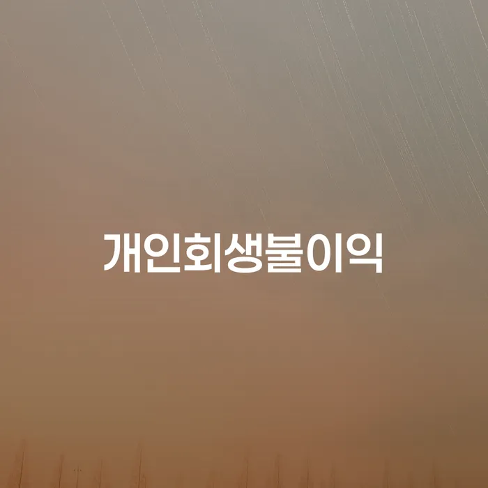 개인회생조회 개인회생 처리방법 절차 이해해야