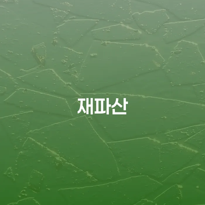 사업자회생 대출 받은 돈채무조정 핵심요약