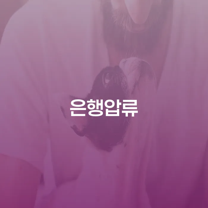 개인회생자 워크아웃 간편비교