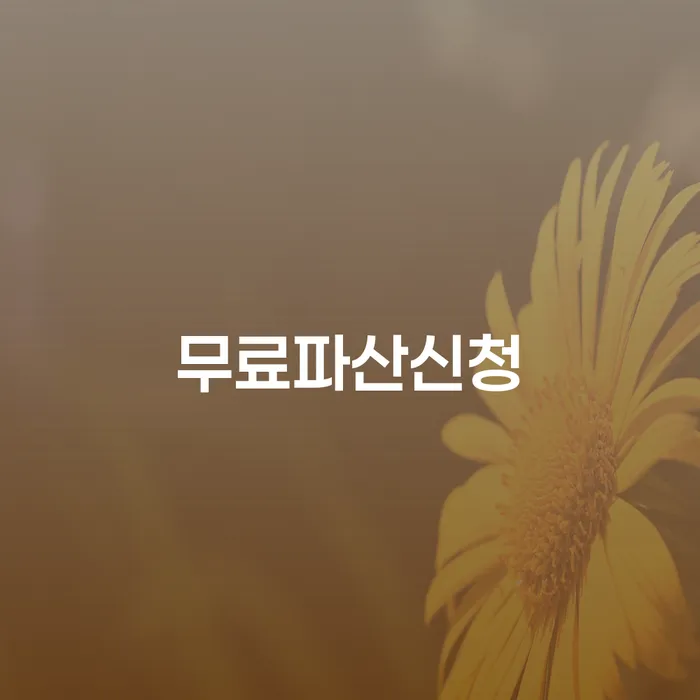 함안군 개인회생납입금 개인회생 처리방법 체크해보세요