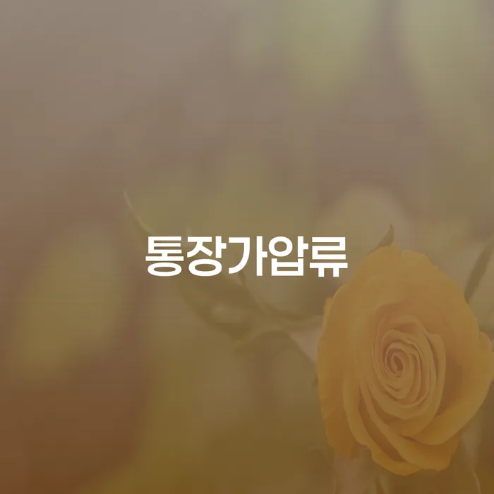 청주시 개인회생비용저렴한곳 개인회생으로 해결방법 진행방안