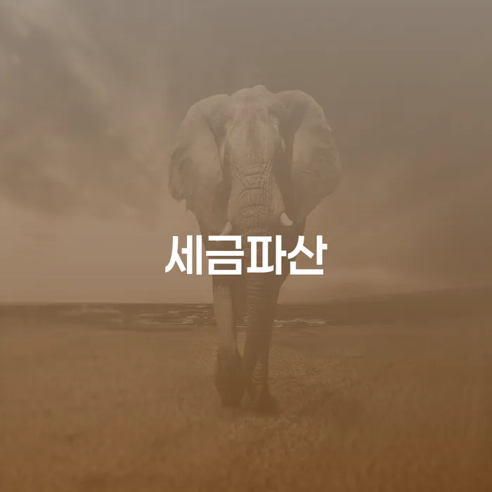 완도군 카드값 한달 연체 빚 합법적인 빠른방법 해결 가능합니다.