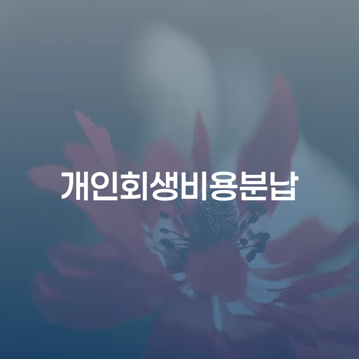남해군 개인회생서류 대출 연체 개인회생 해결 할 수 있을까?