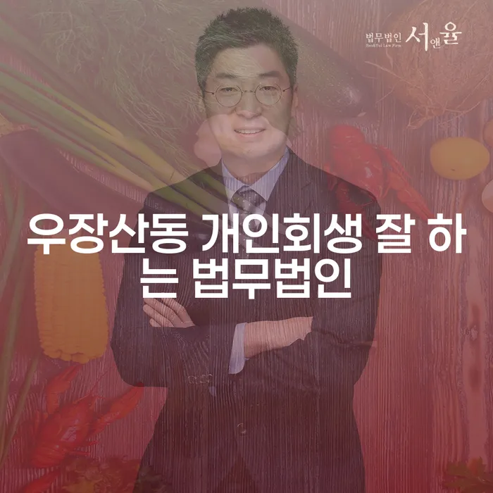 우장산동 개인회생 잘 하는 법무법인