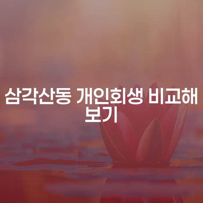 삼각산동 개인회생 비교해보기