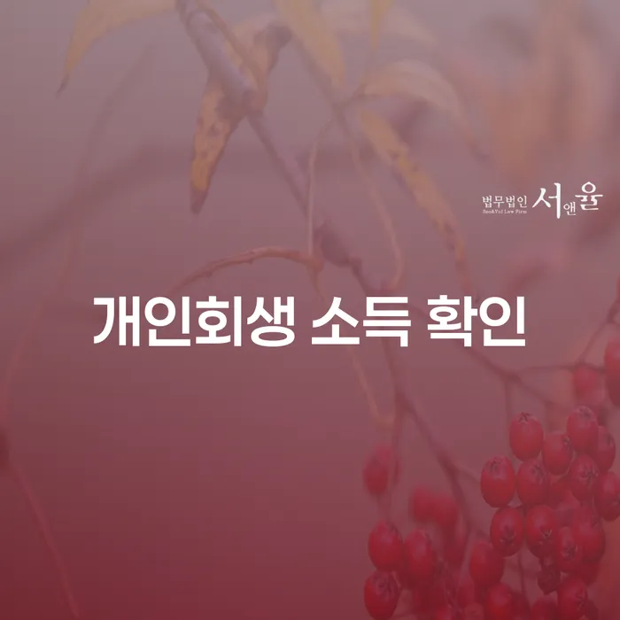개인회생 소득 확인, 왜 중요한가요?