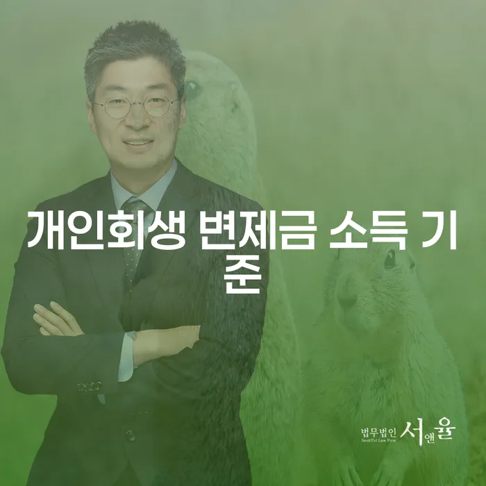 개인회생 변제금 소득 기준, 어떻게 결정되나요?