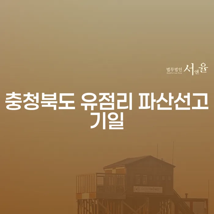 충청북도 유점리 파산선고기일, 개인추심 해결 방안은 무엇일까요?