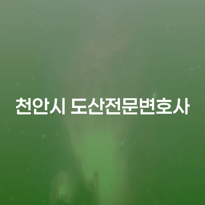 천안시 도산전문변호사와 함께 개인회생과 법원변제금 완료까지의 모든 것!